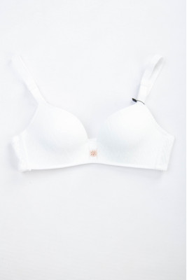 Бюстгальтер 